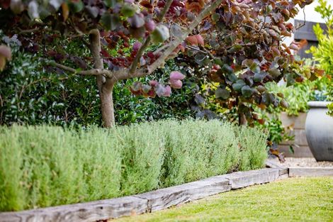 Photo of property in 1b Tomin Road, Glenview, Hamilton, 3206