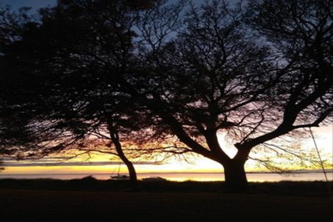 Photo of property in 43 Trewavas Street, Motueka, 7120