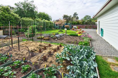 Photo of property in 115 Cockburn Street, Kuripuni, Masterton, 5810