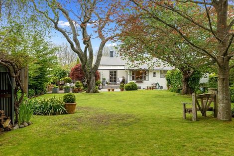 Photo of property in 3 Gillies Avenue, Claudelands, Hamilton, 3214