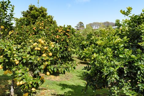 Photo of property in 19 Roger Guy Place, Welcome Bay, Tauranga, 3175