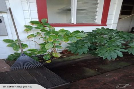 Photo of property in 51 Hawker Street, Mount Victoria, Wellington, 6011