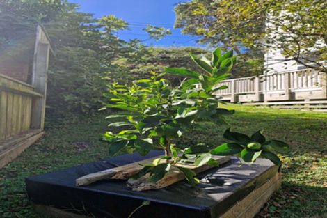 Photo of property in 88b Townsend Road, Miramar, Wellington, 6022