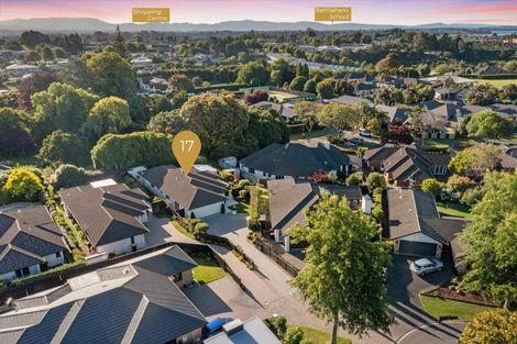 Photo of property in 17 Hansard Place, Bethlehem, Tauranga, 3110