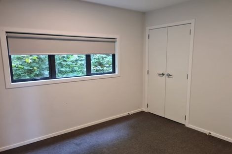 Photo of property in 61 Norway Street, Aro Valley, Wellington, 6012