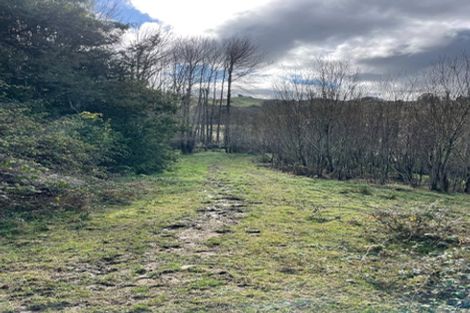 Photo of property in 38 Ruhi Road, Ormondville, Dannevirke, 4977