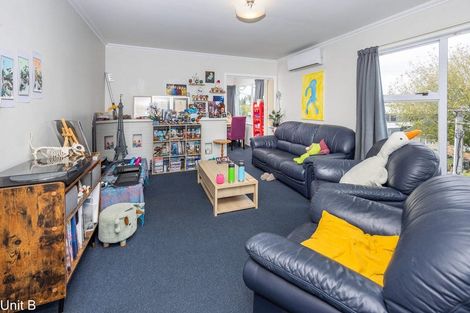 Photo of property in 103 Aurora Terrace, Hillcrest, Hamilton, 3216