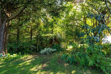 Photo of property in 58 Celia Street, Stratford, 4332