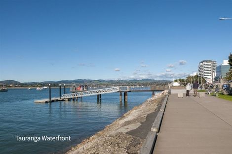 Photo of property in 155 Edgecumbe Road, Tauranga South, Tauranga, 3112