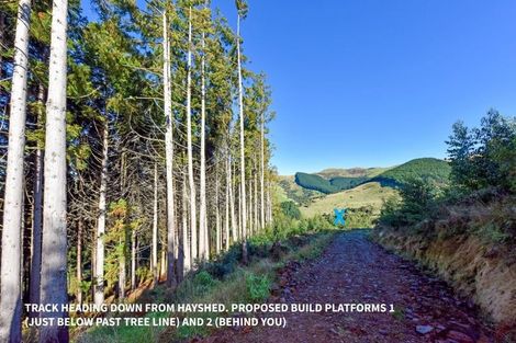 Photo of property in 90 Bachelors Road, Little River, 7591