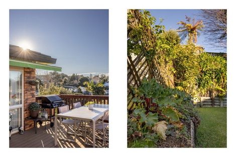 Photo of property in 3 Te Koari Drive, Brookfield, Tauranga, 3110