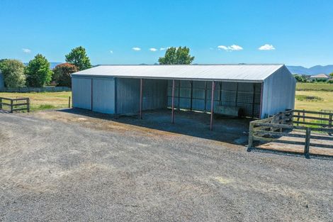 Photo of property in 331 Piako Road, Turua, Thames, 3574