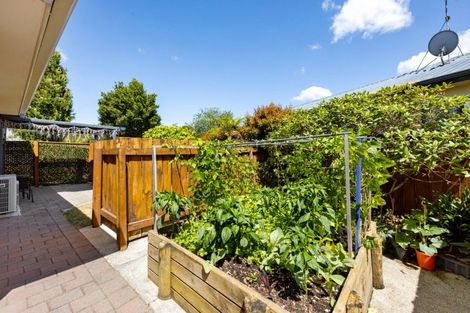 Photo of property in 50 Catalina Drive, Melville, Hamilton, 3206