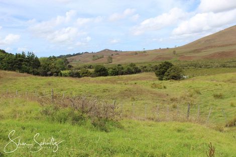 Photo of property in 215c Heatley Road, Whakapirau, 0583