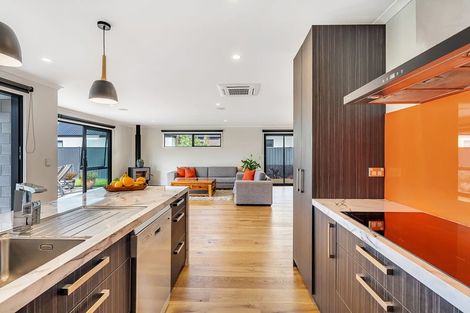 Photo of property in 56 Perriam Place, Mount Pisa, Cromwell, 9383