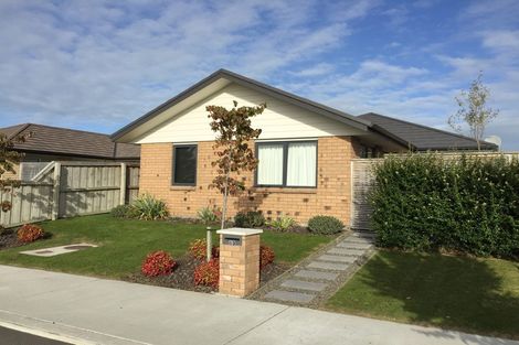 Photo of property in 63 Barnes Street, Pegasus, 7612