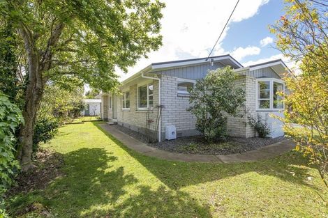 Photo of property in 59 Macarthur Street, Levin, 5510