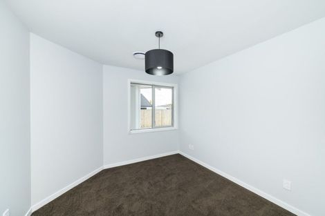 Photo of property in 163a Denbigh Street, Feilding, 4702