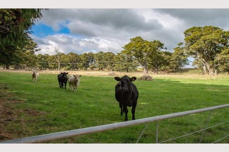 Photo of property in 1964 Oruakukuru Road, Waimarino, Ohakune, 4691