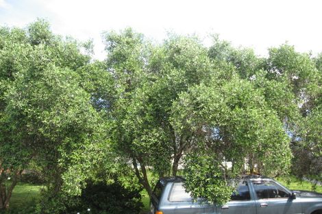 Photo of property in 3 Pare Street, Wainui, Gisborne, 4010