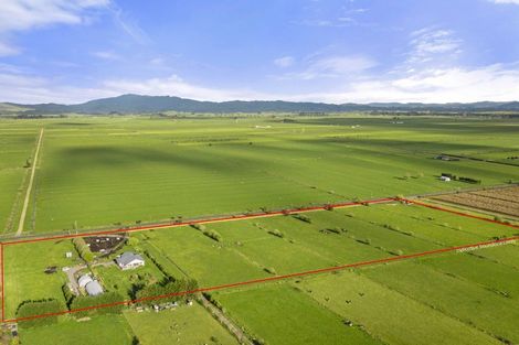 Photo of property in 672 Jary Road, Ohaupo, Cambridge, 3495