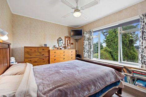 Photo of property in 21 Ward Street, Gate Pa, Tauranga, 3112