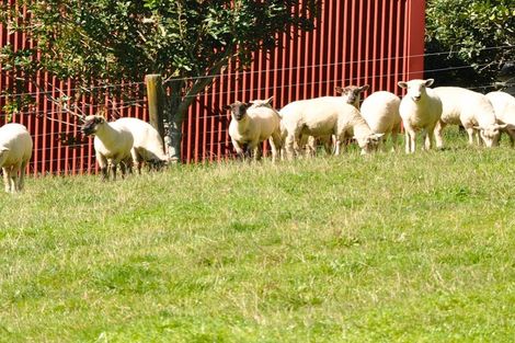 Photo of property in 413b Busby Road, Tahawai, Katikati, 3170