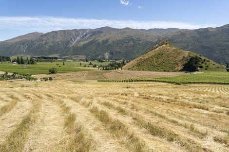 Photo of property in 55b Gibbston Back Road, Gibbston, Queenstown, 9371