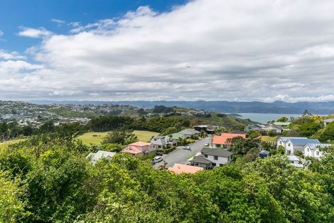 Photo of property in 22 Bandipur Terrace, Broadmeadows, Wellington, 6035