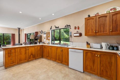 Photo of property in 111 Knight Road, Kopuaranga, Masterton, 5882