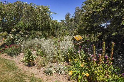 Photo of property in 333 Munro Road, Cheviot, 7382