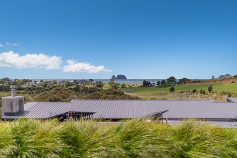 Photo of property in 43 Discovery Drive, Wharekaho, Whitianga, 3510