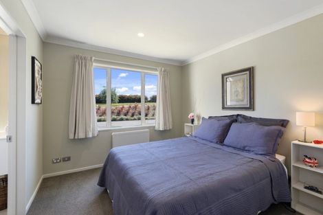 Photo of property in 325 Davis Road, Cust, Rangiora, 7471