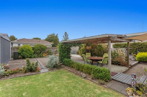 Photo of property in 31a Bridge Street, Whakatane, 3120