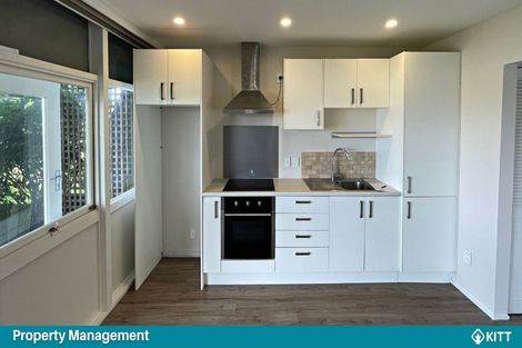 Photo of property in 8/31 Allenby Road, Panmure, Auckland, 1072