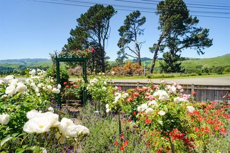 Photo of property in 207 Salisbury Street, Ashhurst, 4810