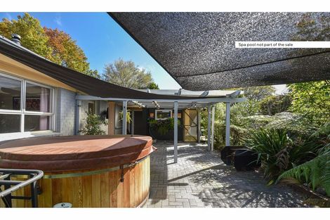 Photo of property in 53b High Street, Glenholme, Rotorua, 3010