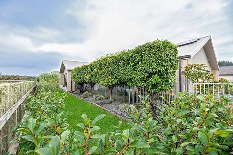 Photo of property in 299 Carmichael Road, Brookfield, Tauranga, 3110