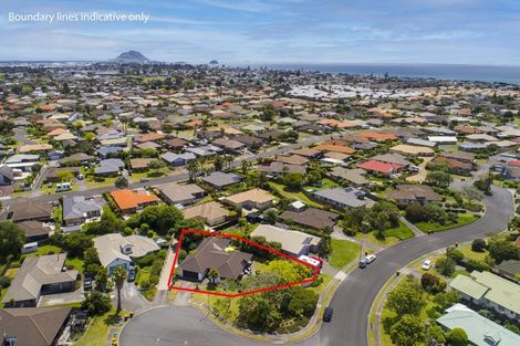 Photo of property in 25 Jasmine Place, Mount Maunganui, 3116