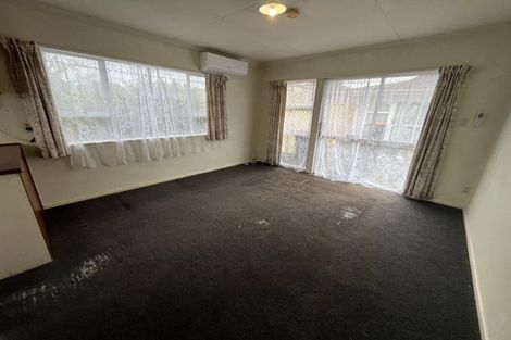 Photo of property in 146 Albert Street, Terrace End, Palmerston North, 4410