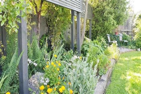 Photo of property in 703 Queen Street West, Saint Leonards, Hastings, 4120