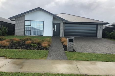Photo of property in 14 Harp Street, Morrinsville, 3300