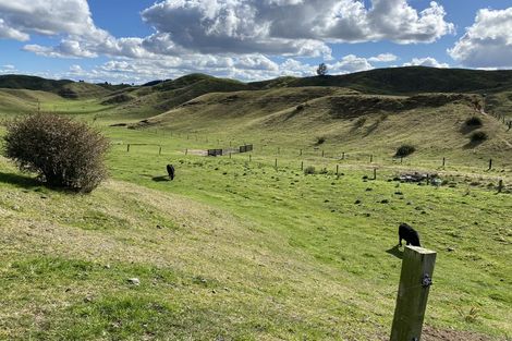 Photo of property in 31 Tarver Lane, Pikowai, Whakatane, 3194