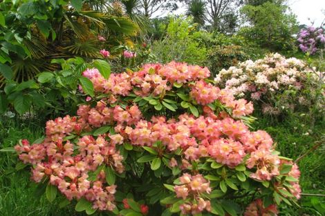 Photo of property in 3/430 Cape Foulwind Road, Carters Beach, Westport, 7892