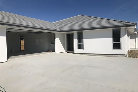 Photo of property in 20 Malone Crescent, Richmond, 7020