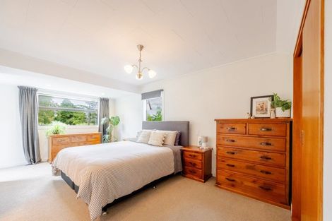 Photo of property in 19 Francis Drake Street, Waipukurau, 4200