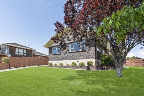 Photo of property in 32 Rushgreen Avenue, Pahurehure, Papakura, 2113