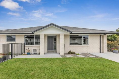Photo of property in 32 Cambridge Street, Putaruru, 3411
