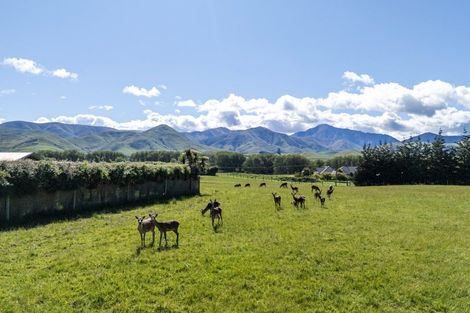 Photo of property in 80 Butlers Road, Fairlie, 7987