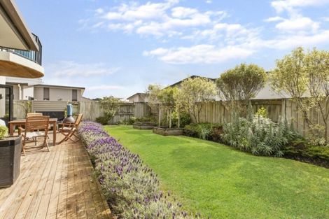 Photo of property in 307 Carmichael Road, Brookfield, Tauranga, 3110